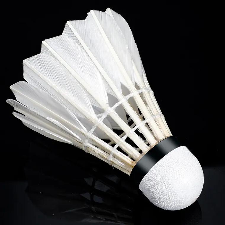 体育WTA500阿布扎比站：郑钦文女单首轮取得“开门红”